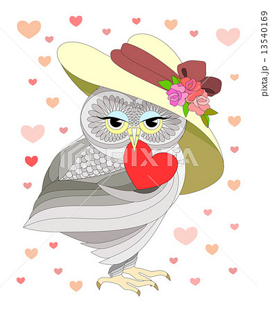 love the owl 13540169