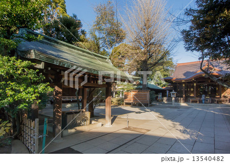 氷川の杜公園 13540482