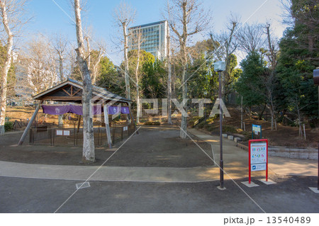 氷川の杜公園 13540489