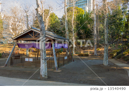 氷川の杜公園 13540490