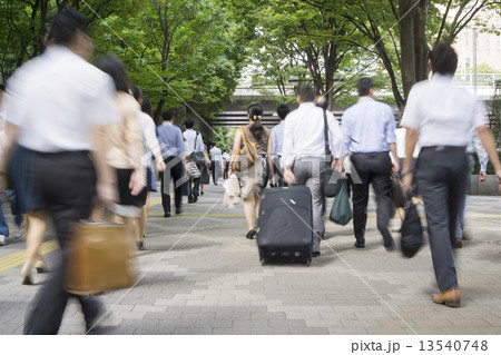 新宿ビジネス街を歩く人々 新宿ビジネス街を歩く人々 13540748