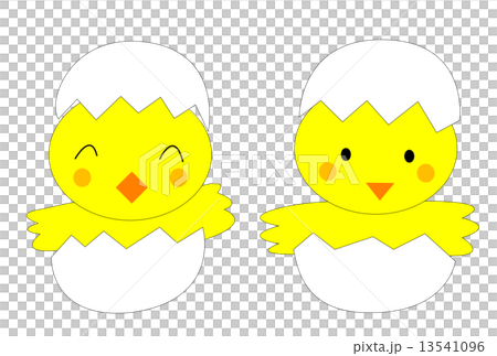 Chick	 13541096