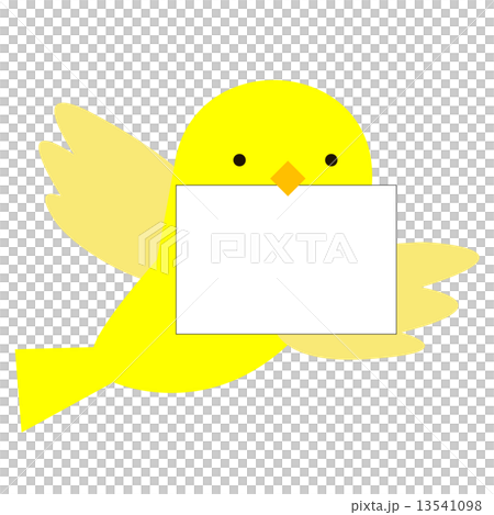bird bird 13541098