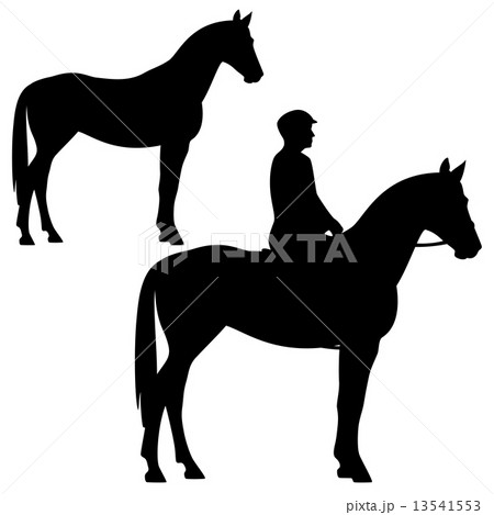 horse and horseman - standing animal profile silhouette - black and white vector design 13541553