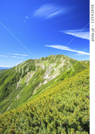 夏の南アルプス仙丈ヶ岳 13541649