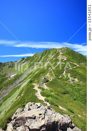 夏の南アルプス仙丈ヶ岳 13541651