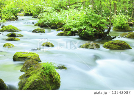 初夏の奥入瀬渓流　三乱の流れ 13542087