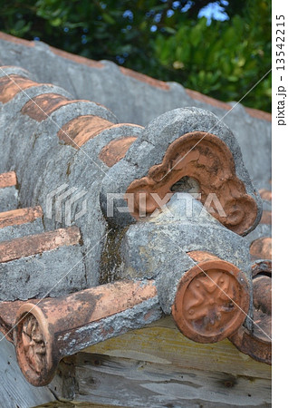 沖縄の瓦屋根・漆喰(フクギの並木道/沖縄県国頭郡本部町備瀬) 沖縄の瓦屋根・漆喰(フクギの並木道/沖縄県国頭郡本部町備瀬) 13542215
