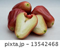 ローズアップル（フトモモ）の実 13542468