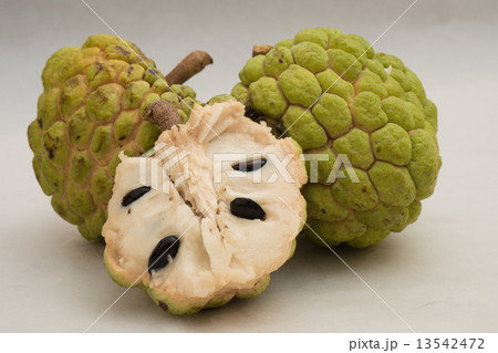 カスタードアップル（バンレイシ）の実 13542472