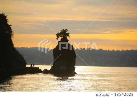 スタンレーパークの夕焼けーStanley Park in Sunset 13542628