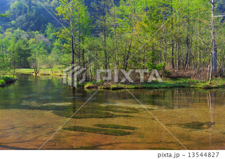 上高地　田代池 13544827