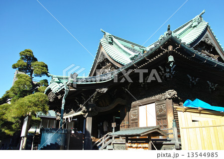 柴又帝釈天 13544985
