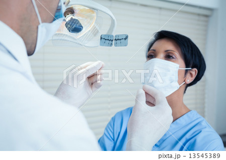 Dentists looking at x-ray 13545389