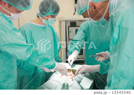 Medical students practicing surgery on model 13545540