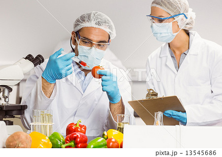 Food scientist injecting a tomato Food scientist injecting a tomato 13545686