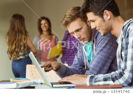 Smiling friends sitting using laptop 13545740