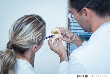 Dentists looking at mouth model 13545770