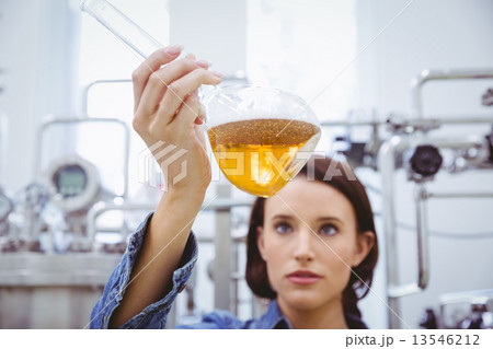 Stylish brunette in denim jacket looking at beaker of beer Stylish brunette in denim jacket looking at beaker of beer 13546212