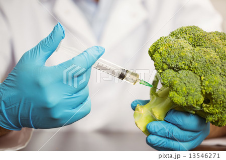 Food scientist injecting head of broccoli 13546271