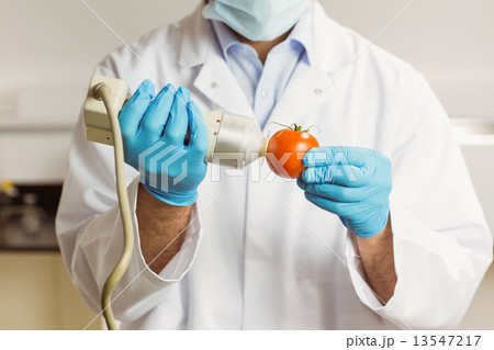 Food scientist using device on tomato 13547217