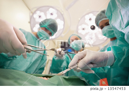 Medical students practicing surgery on model Medical students practicing surgery on model 13547453