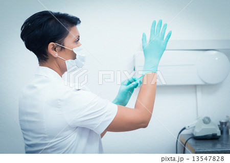 Female dentist wearing surgical gloveの写真素材 [13547828] - PIXTA