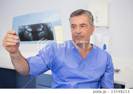 Thoughtful dentist studying x-ray attentively Thoughtful dentist studying x-ray attentively 13548213
