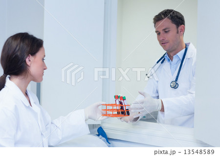 Biologist giving blood sample to his colleague 13548589