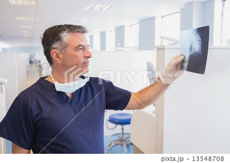 Happy dentist examining a x-ray 13548708
