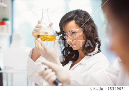 Science students working in the laboratory Science students working in the laboratory 13549074