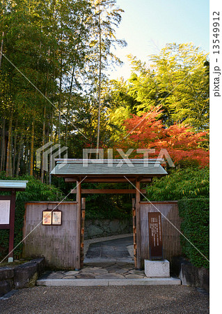 秋の丈山苑 秋の丈山苑 13549912