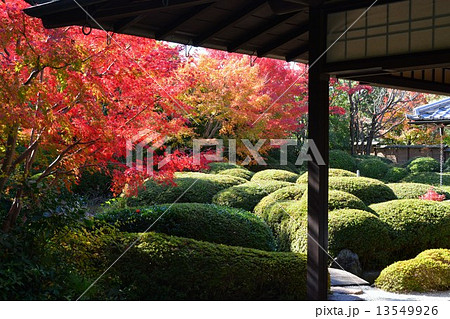 秋の丈山苑 詩泉閣 秋の丈山苑 詩泉閣 13549926