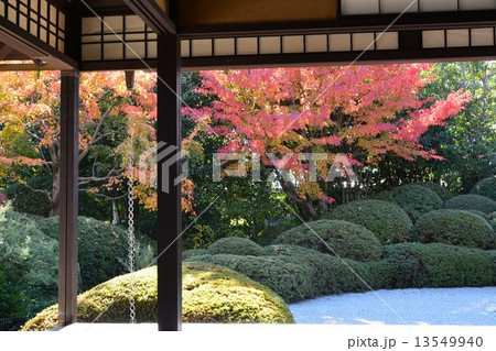 秋の丈山苑 詩泉閣 秋の丈山苑 詩泉閣 13549940