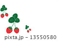 いちごちゃん いちごちゃん 13550580