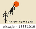申年年賀状（HAPPY NEW YEAR） 13551019