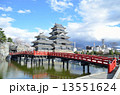 桜の松本城 13551624
