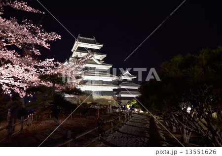 松本城　夜桜会の庭園」 13551626