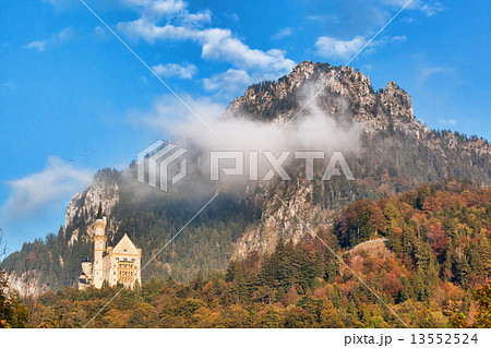 Neuschwanstein castle with autumn forest in Bavaria, Germany 13552524
