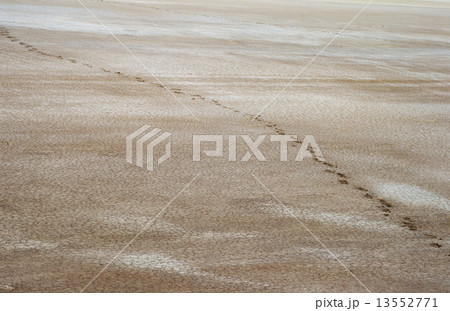 Salty land and footprints Salty land and footprints 13552771