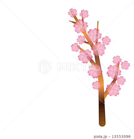 桜 枝 木 さくら サクラのイラスト素材