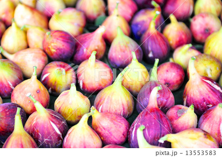 新鮮なイチジク 13553583