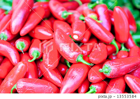 新鮮な赤とうがらし 13553584