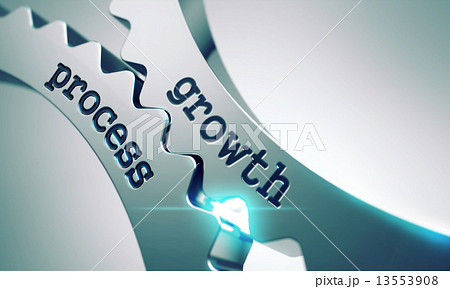 Growth Process on the Cogwheels. 13553908