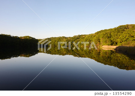 秋の錦大沼　水鏡 13554290