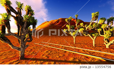 Joshua trees and railroad 13554756
