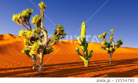 Joshua trees and railroad Joshua trees and railroad 13554792