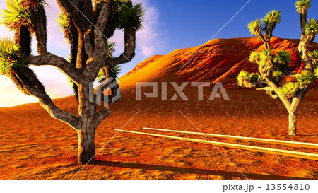 Joshua trees and railroad 13554810