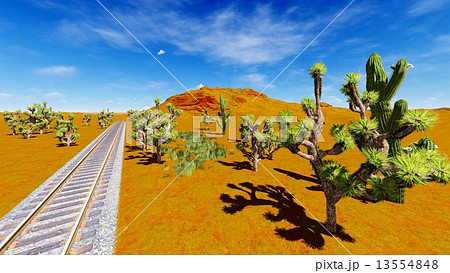 Joshua trees and railroad 13554848