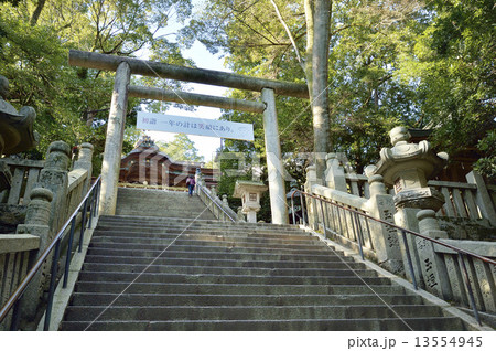 金刀比羅宮　参道　御前四段坂 13554945